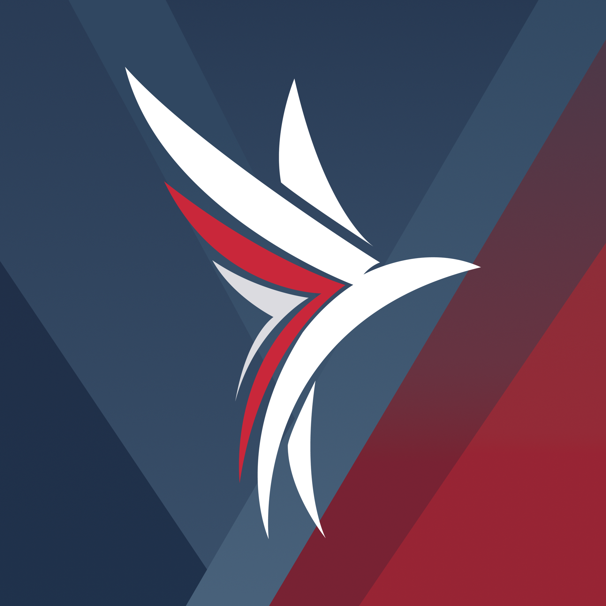Roraima Airlines logo